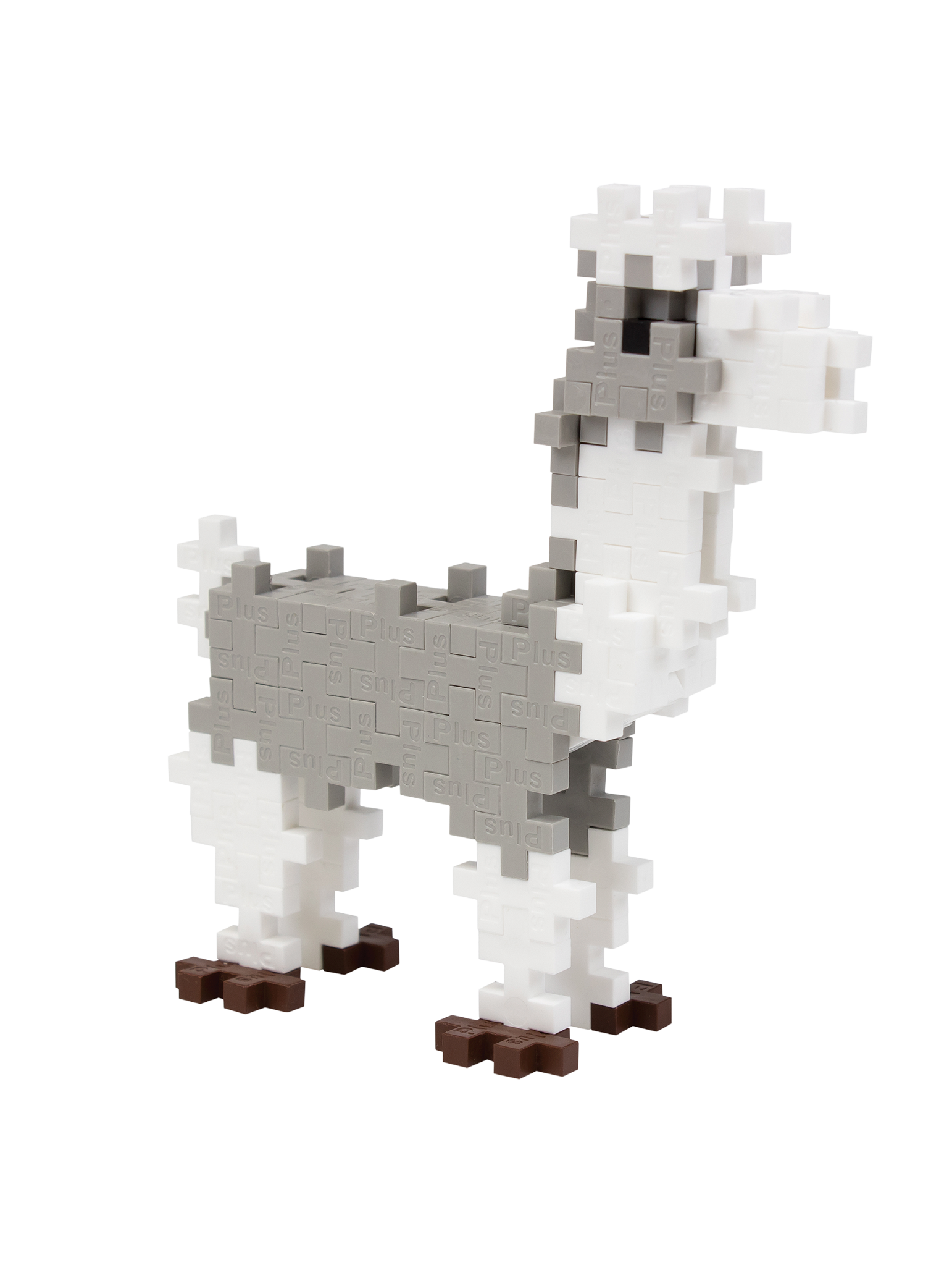 Lama